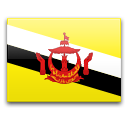 Flag of Brunei